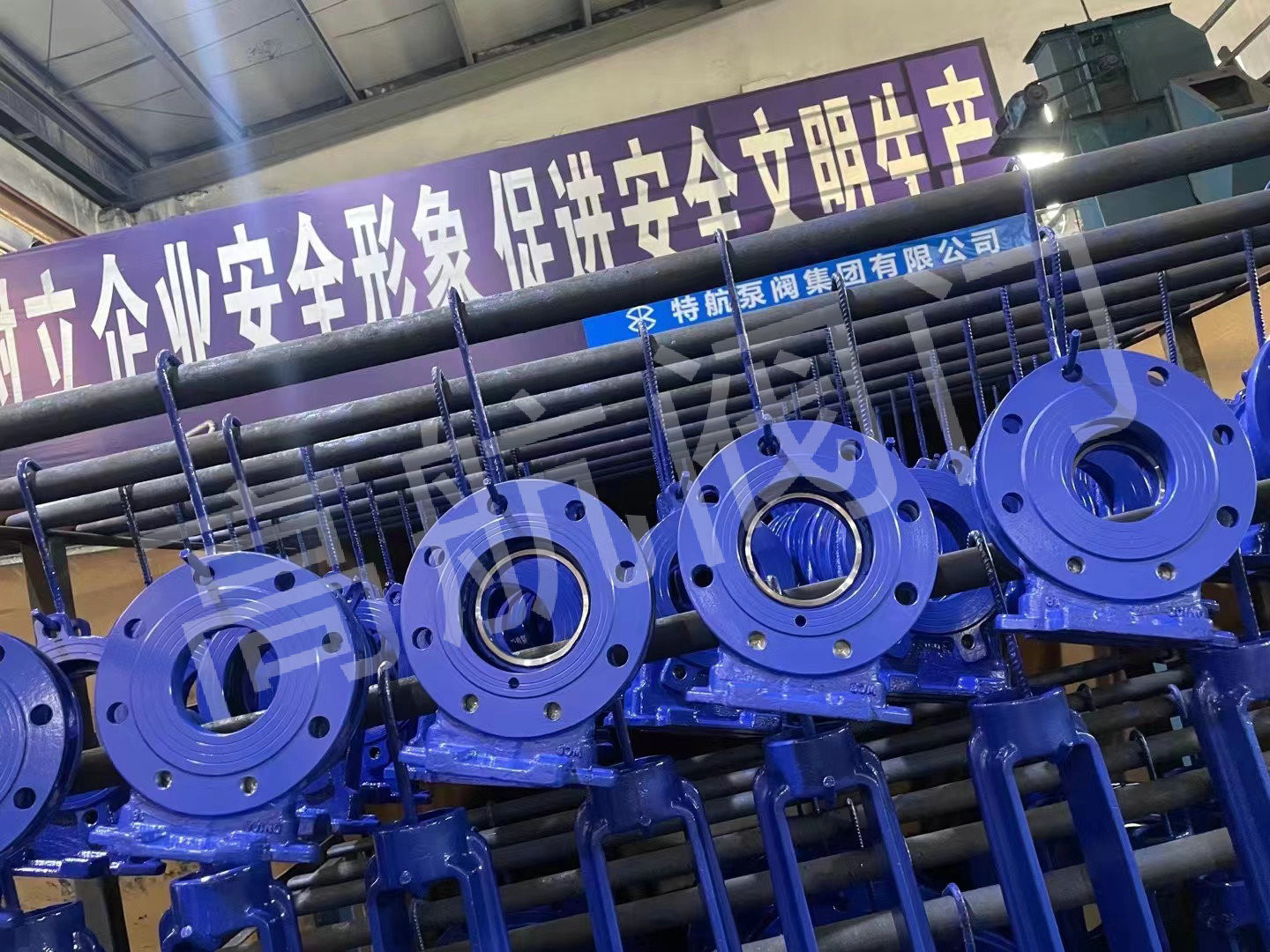 微信图片_20230419105253