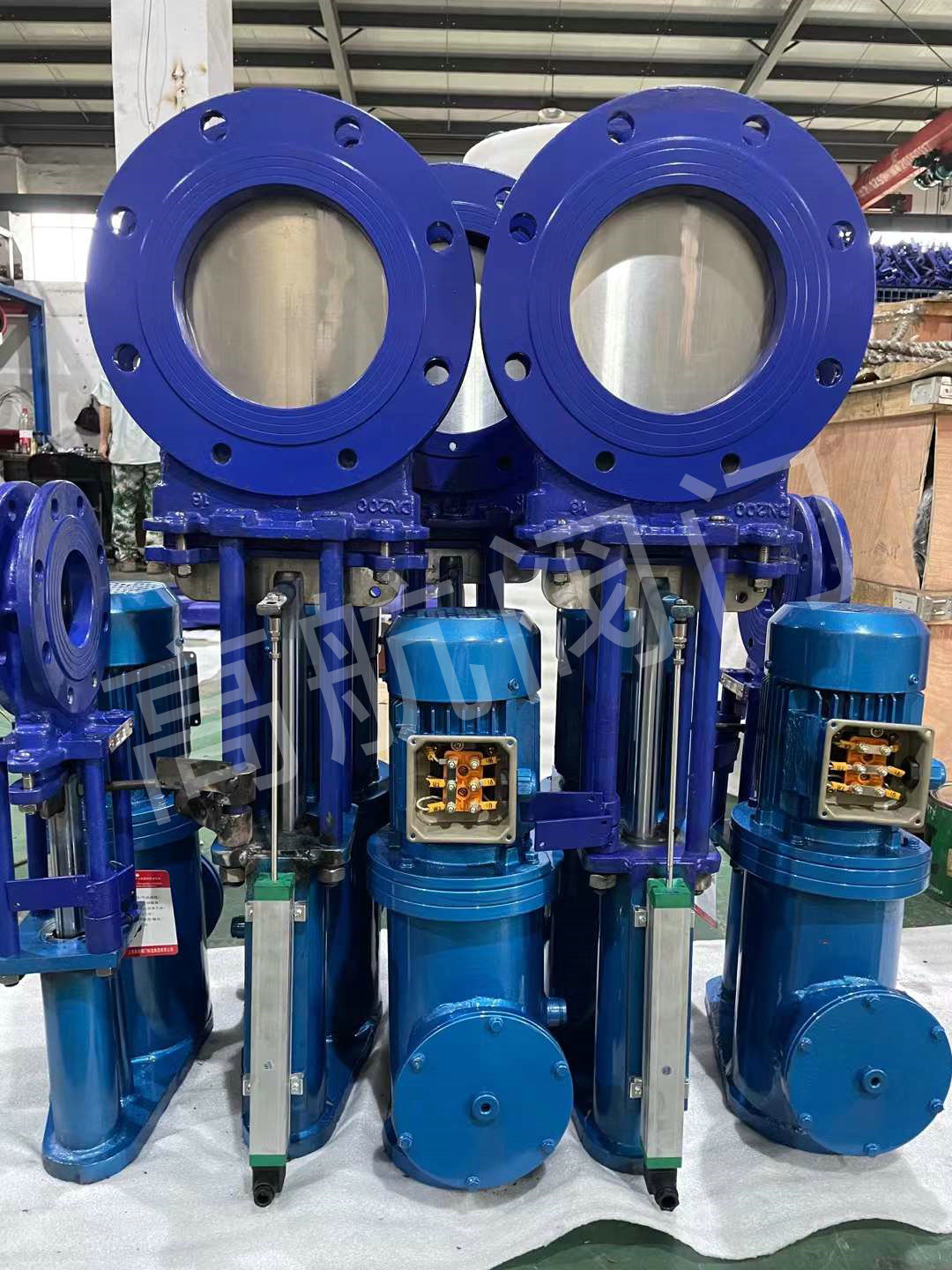 微信图片_20220913135847