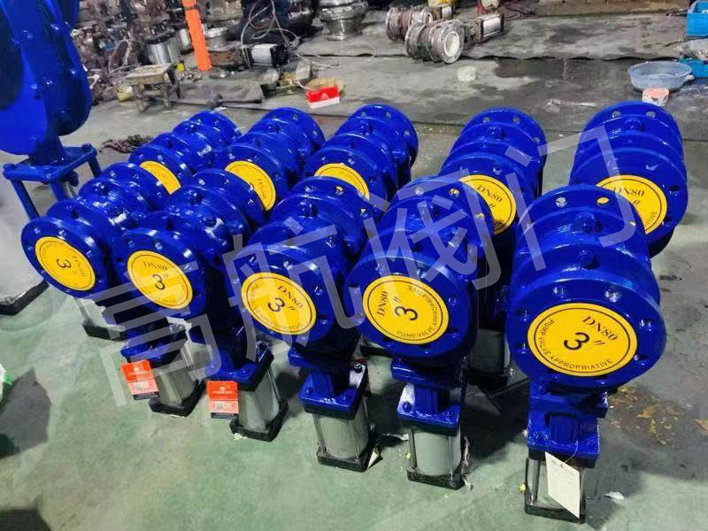 陶瓷双闸板 (37)