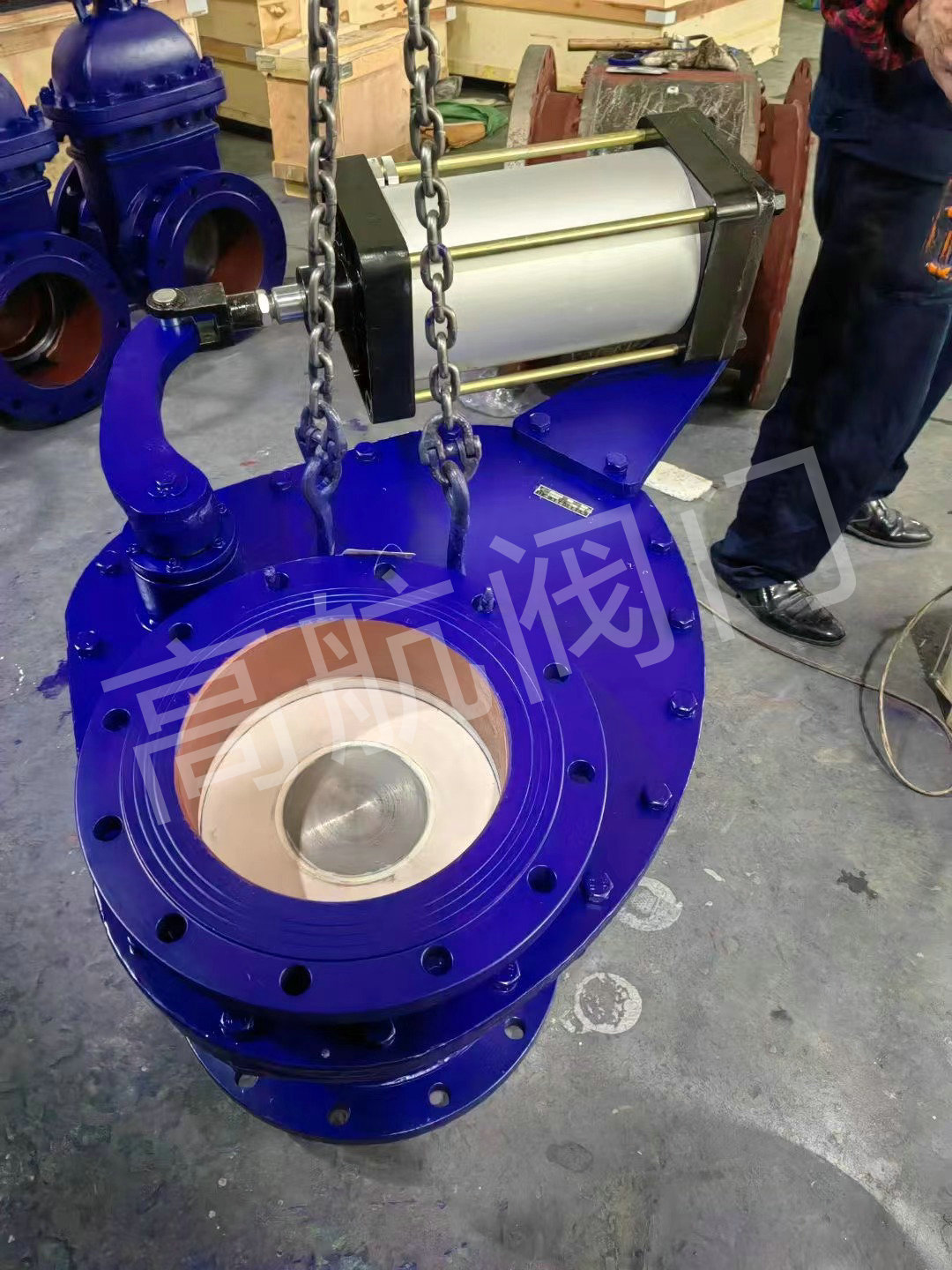 陶瓷摆动阀 (10)